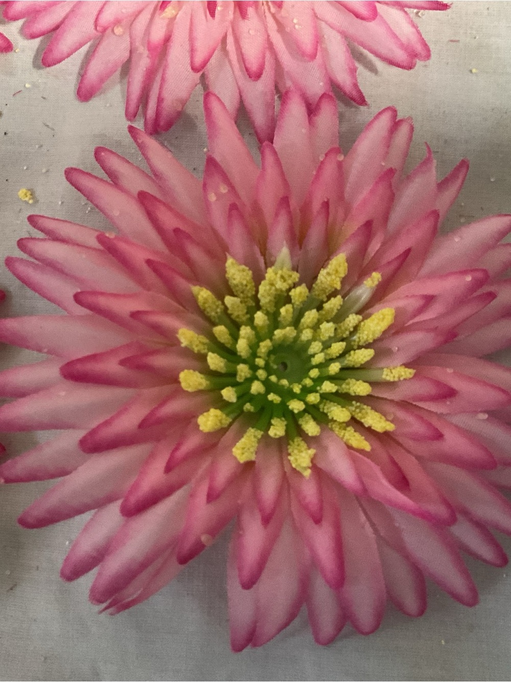 5” Daisy Only (36) total Flower in Shades of Hot Pink with bright yellow centers